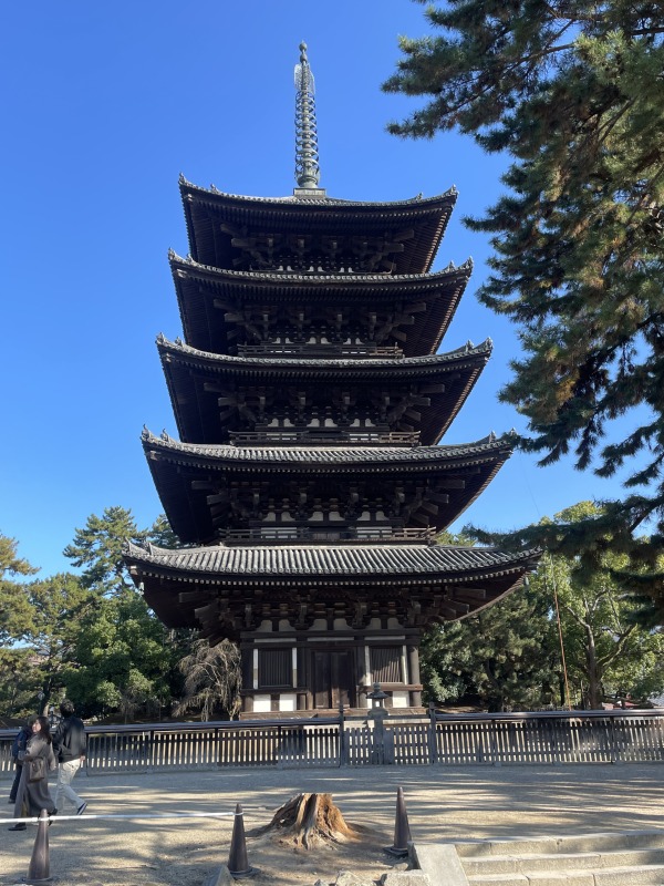 奈良　興福寺　五重塔